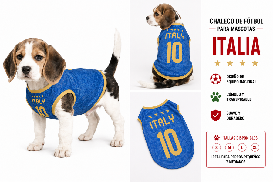 Camiseta Mundialera Italia| MeganPaw