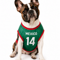 Camiseta Mundialera Mexico | MeganPaw