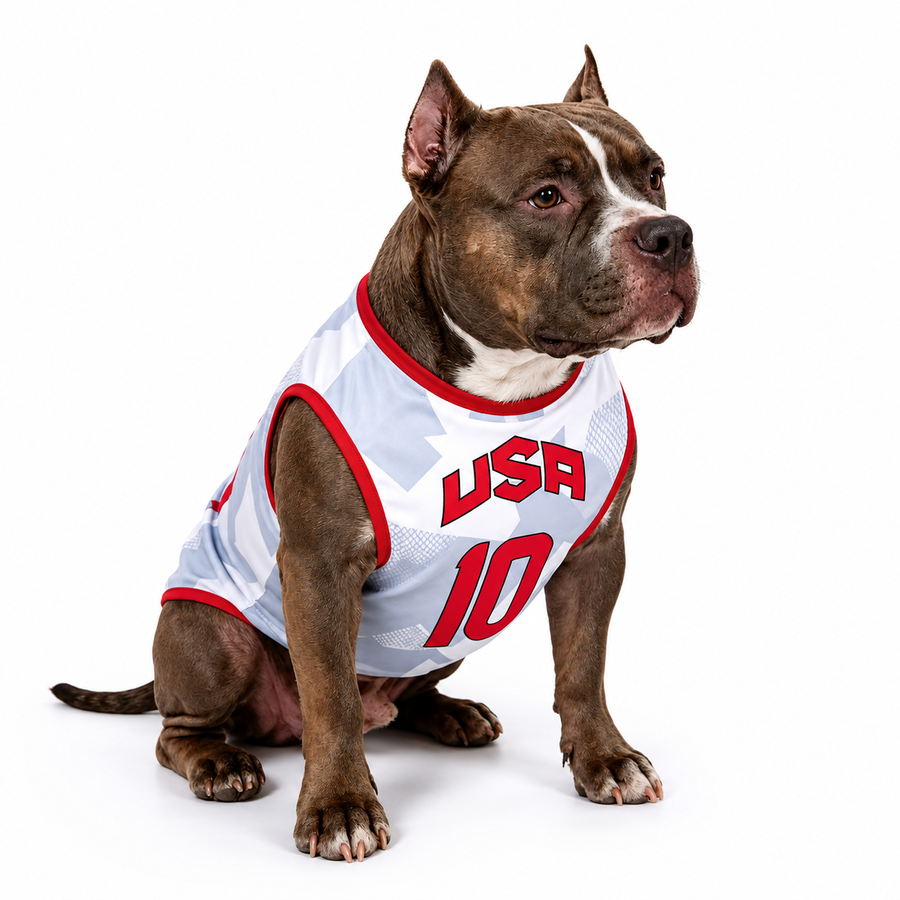 Camiseta Mundialera Usa | MeganPaw