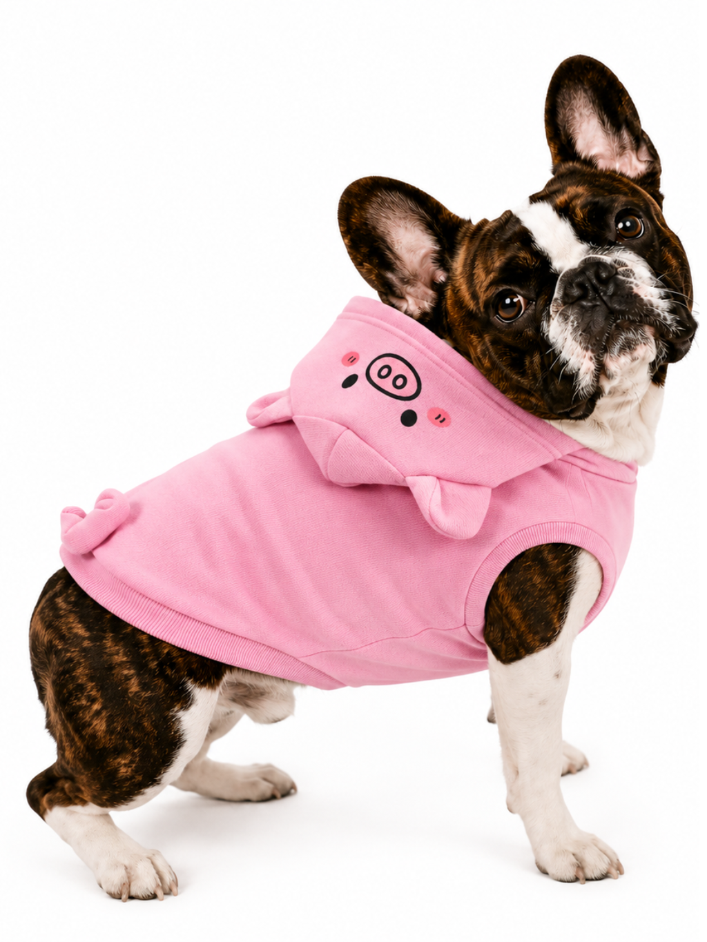 🐷 Cerdo Safari Hoodie
